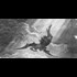 Some new/some old info all in one spot