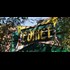 Accused Pizzagate DC shooter negotiating plea deal