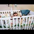 Child Rapist Duped Immigration System, Got U.S. Citizenship