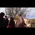 Muslim courtship- sick warning
